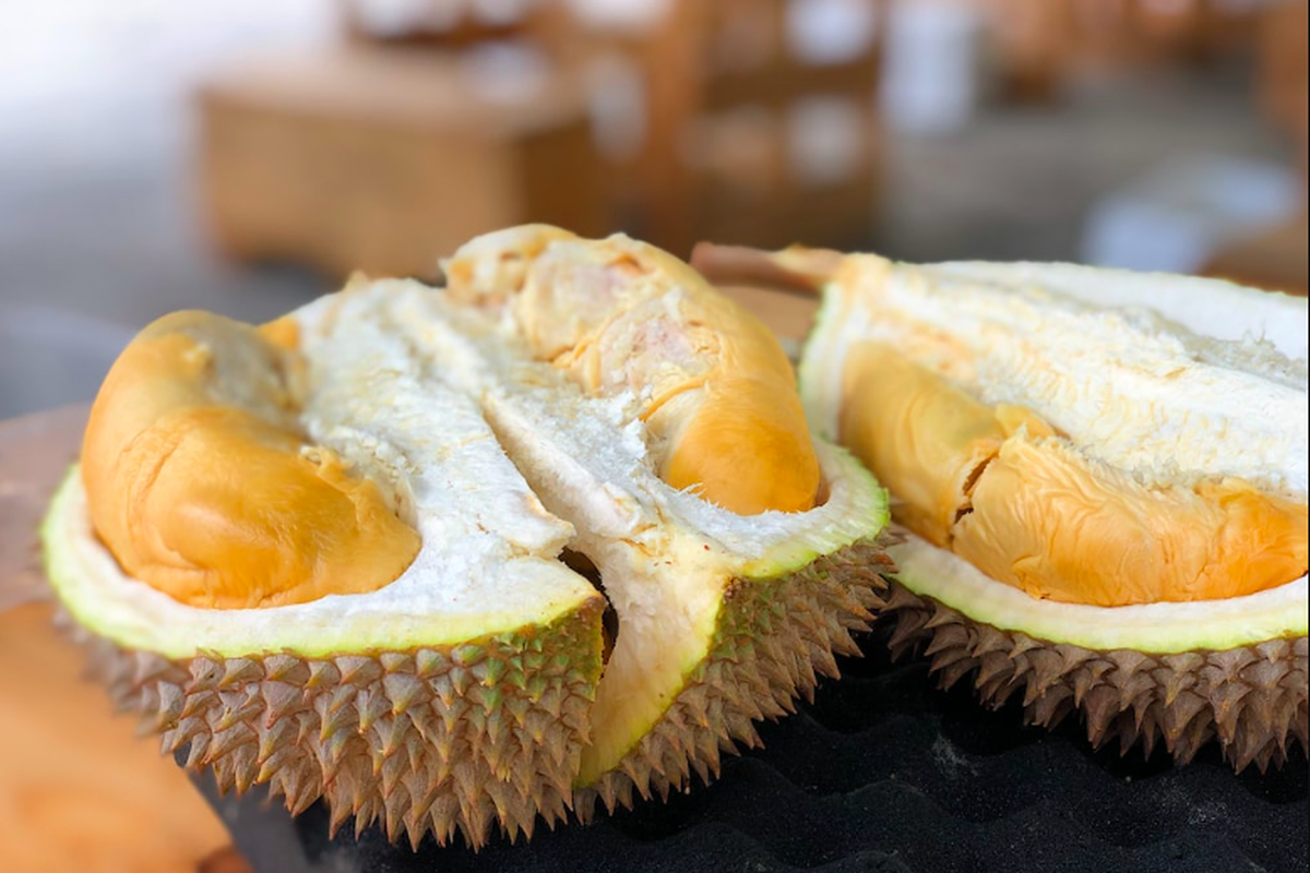 Biji Durian Punya Sejumlah Manfaat Kesehatan